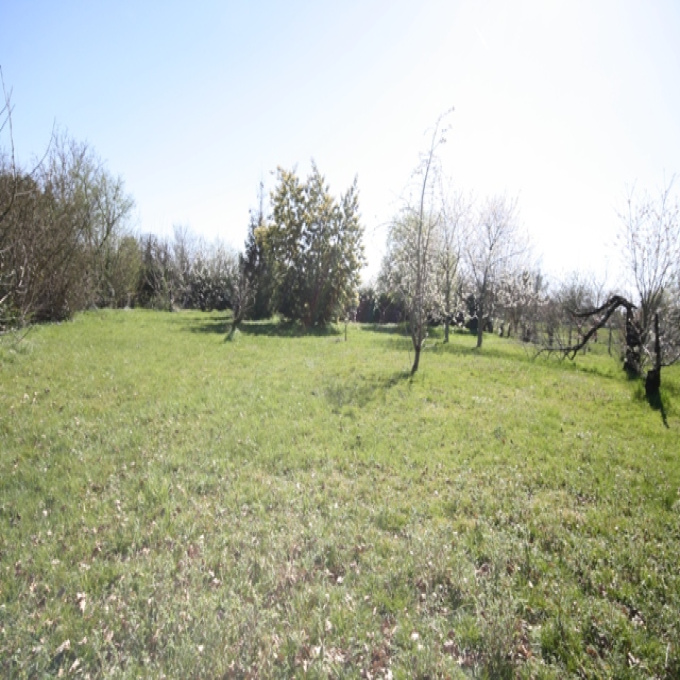 Offres de vente Terrain Albias (82350)